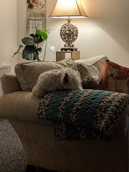 sleeping westie sofa
