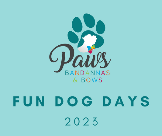 fun day logo