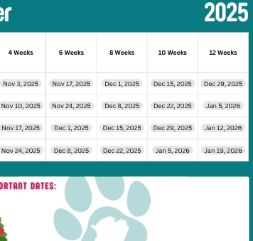 2025/2026 Dog Grooming Schedule - (A5 Digital Download)