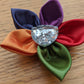 different coloured petals